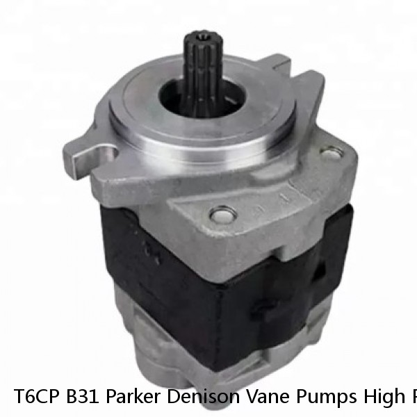 T6CP B31 Parker Denison Vane Pumps High Performance For Marine Machinery