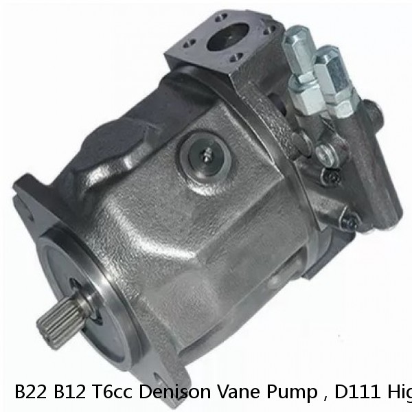 B22 B12 T6cc Denison Vane Pump , D111 High Pressure Hydraulic Pump