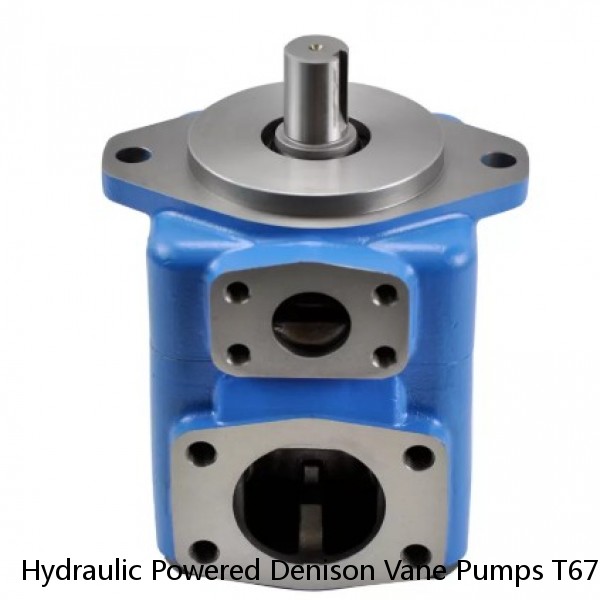 Hydraulic Powered Denison Vane Pumps T67B B09 For Rubber And Plastics Machinery #1 image